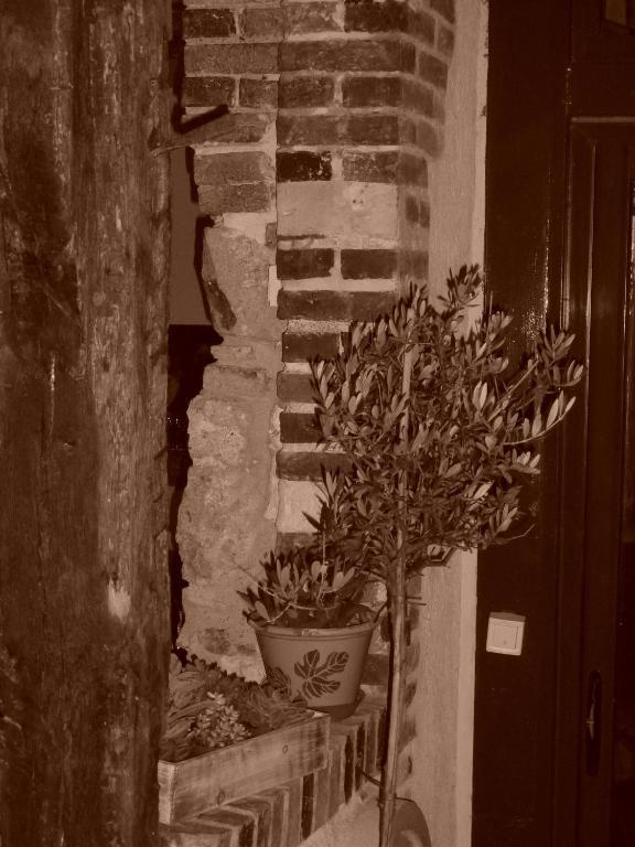 Les 5 Sens Bed & Breakfast Exterior foto